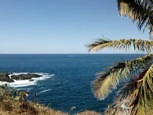 Playa Pitahaya