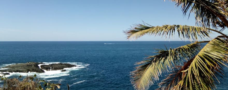 Playa Pitahaya