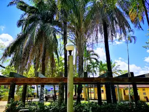 Convivencia Park