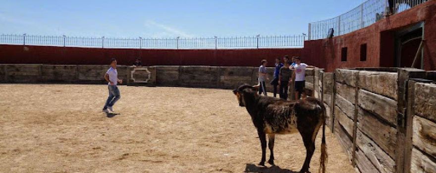 Eurofiestas: Despedidas de Soltero y Soltera Navalcarnero - Madrid