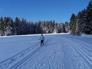 Snow- und Sommer-Tubing Siegmundsburg