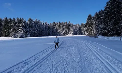 Snow- und Sommer-Tubing Siegmundsburg