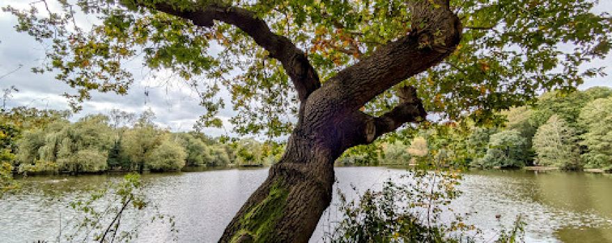 Britten's Pond