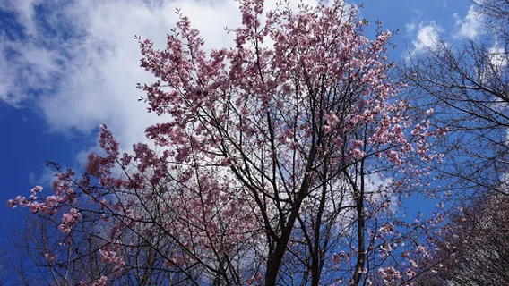 Haginosato Natural Park