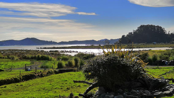 Coromandel