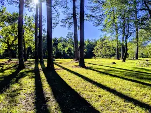 Coles Creek Rest Area