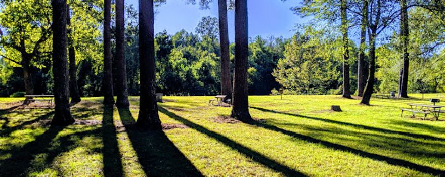 Coles Creek Rest Area