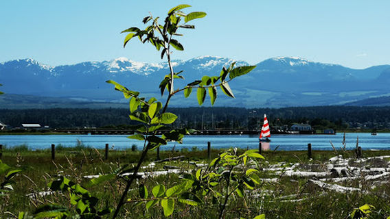 Mack Laing Nature Park