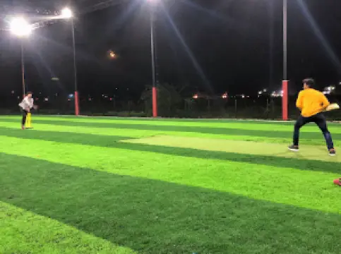 Box Cricket Multi-Sports Turf