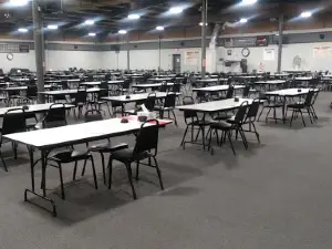 Bingo Paradise