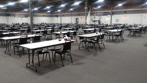 Bingo Paradise