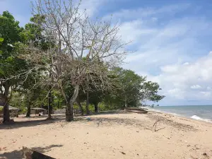 Desa Todoli