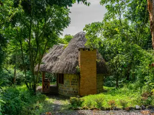 Kahuzi-Biega National Park