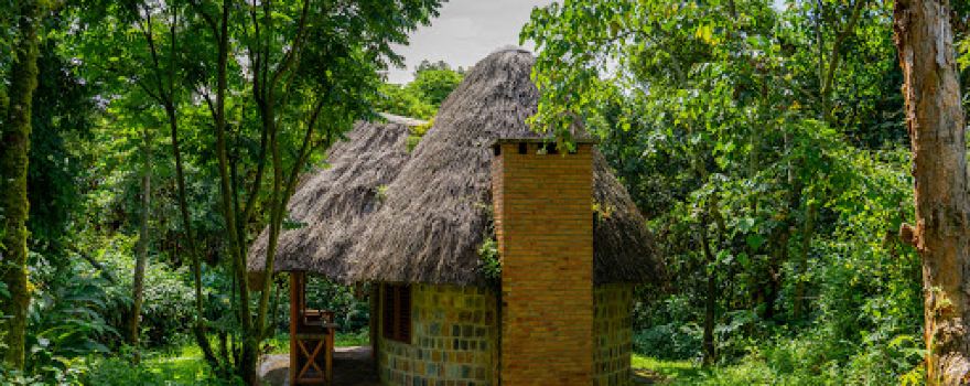 Kahuzi-Biega National Park