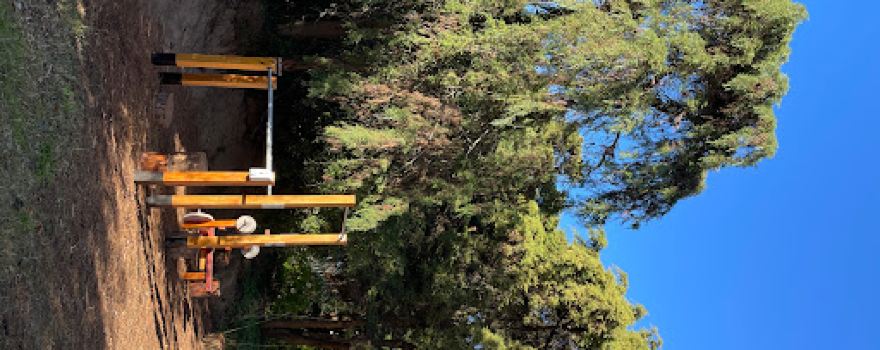 Aire Libre, Libre
