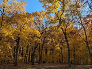 Weaver Lake Community Park
