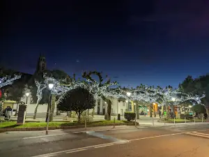 Municipal Arzúa Park
