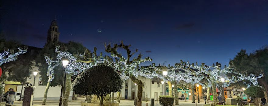 Municipal Arzúa Park