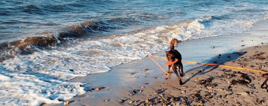 Campingpark Ostseestrand