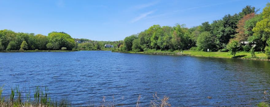Lake Winfield