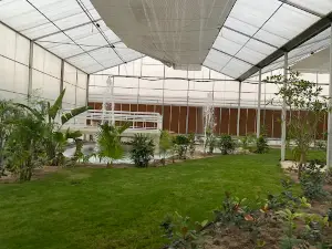 Zahra Farm