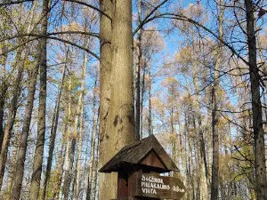 Žiegždriai geological trail