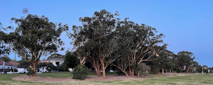 Astrolabe Park