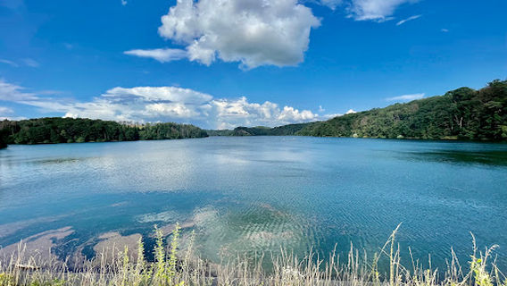 Staumauer Wahnbachtalsperre