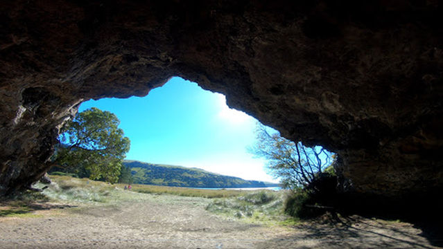 Okains Bay campground