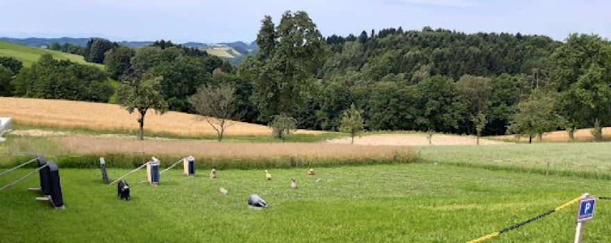Bsg-Nöchling gegr.2021