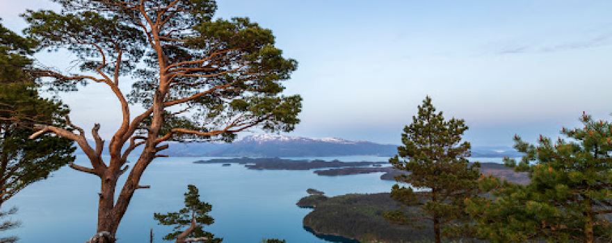 Blåbærhaugen (297 moh.)