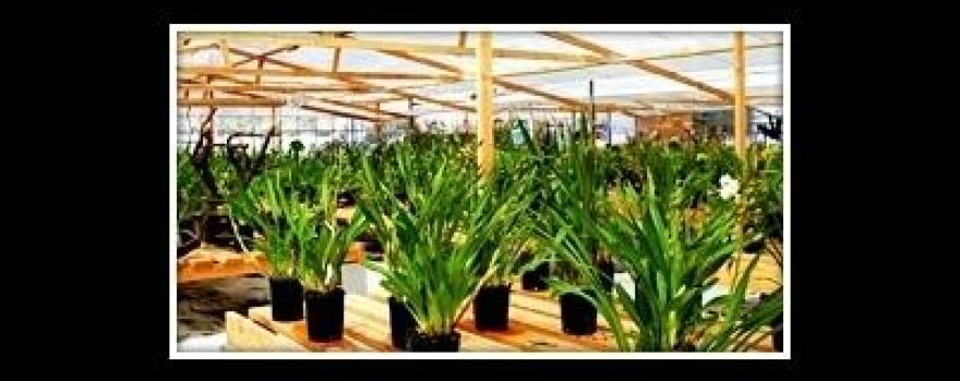 Azienda Agricola Vita Stefano