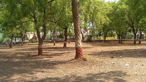 Somani Park