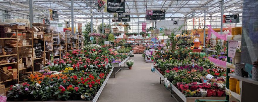 oasis Landscaping
