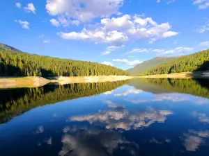 Dworshak Reservoir Natural Resources