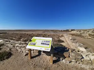Lagunas de Sástago - Bujaraloz