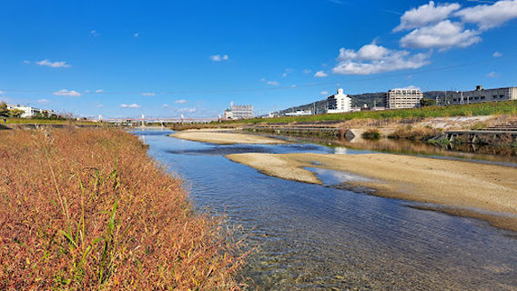 石川河川公園 星の広場
