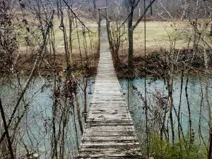 Swinging Bridge
