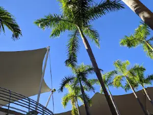 Cinemark | San Pedro