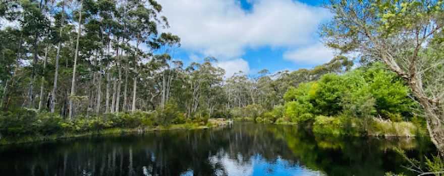 Northcliffe Bush Camp