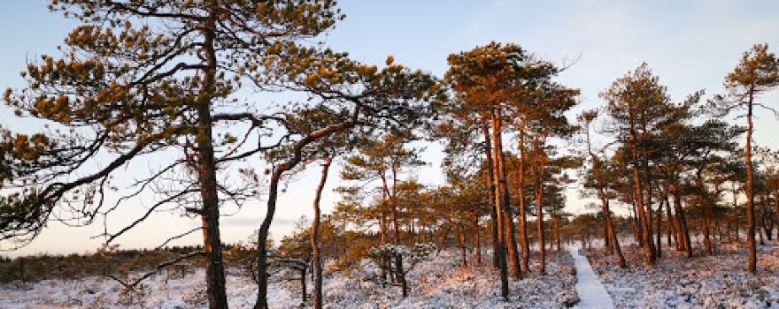Väätsa Nature Reserve hiking trail