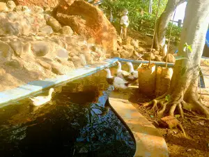 Nrupatunga Hills