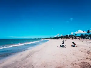 Beach Up