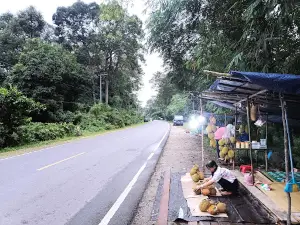 DURIAN KASONGAN PAK LEK JAWA