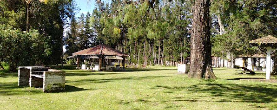 Campos Verdes