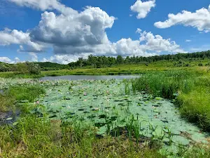 Ozero Lotosov Novotroitskoye