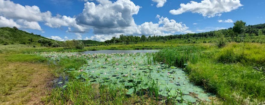Ozero Lotosov Novotroitskoye