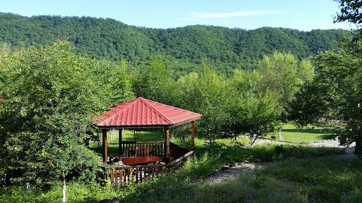 Park Orman