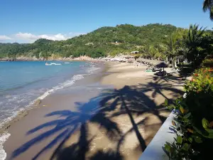 Selva de Melaque