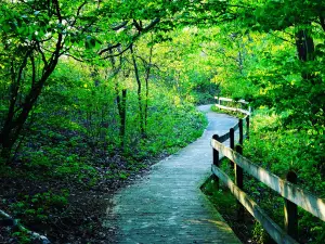 Pioneer County Park